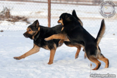 phoca_thumb_l_IMG_9290_resize