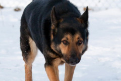 phoca_thumb_l_IMG_9291_resize