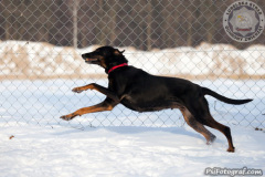 phoca_thumb_l_IMG_9337_resize