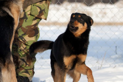 phoca_thumb_l_IMG_9360_resize