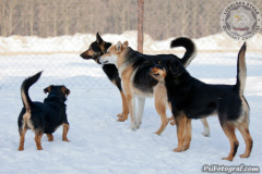 phoca_thumb_l_IMG_9387_resize