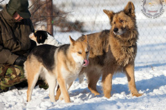 phoca_thumb_l_IMG_9397_resize