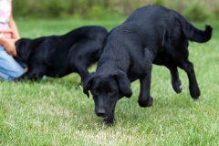 phoca_thumb_l_IMG_6823_resize