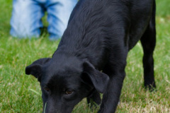 phoca_thumb_l_IMG_6827_resize