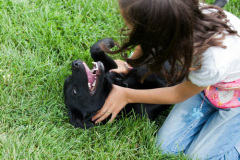 phoca_thumb_l_IMG_6882_resize