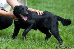 phoca_thumb_l_IMG_6886_resize