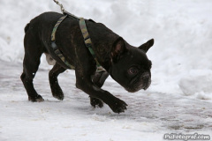 phoca_thumb_l_IMG_9157_resize