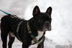 phoca_thumb_l_IMG_9164_resize
