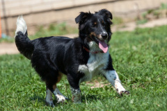 phoca_thumb_l_IMG_7474_resize
