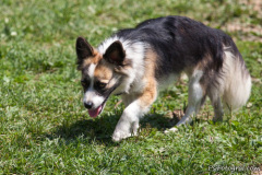 phoca_thumb_l_IMG_7486_resize
