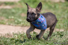 phoca_thumb_l_IMG_7492_resize