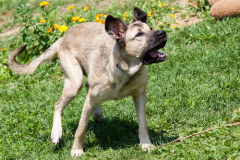 phoca_thumb_l_IMG_7610_resize
