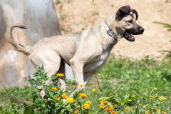 phoca_thumb_l_IMG_7613_resize