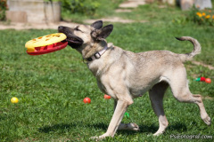 phoca_thumb_l_IMG_7651_resize