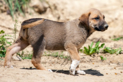 phoca_thumb_l_IMG_7670_resize