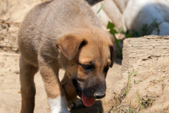 phoca_thumb_l_IMG_7744_resize