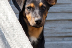 phoca_thumb_l_IMG_7758_resize