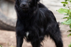 phoca_thumb_l_IMG_7763_resize
