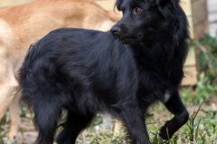 phoca_thumb_l_IMG_7765_resize