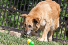 phoca_thumb_l_IMG_7789_resize