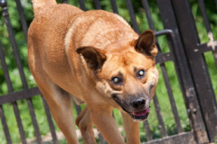 phoca_thumb_l_IMG_7839_resize