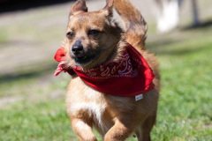 phoca_thumb_l_IMG_2686_resize