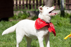 phoca_thumb_l_IMG_2844_resize