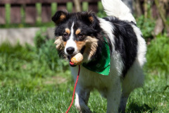 phoca_thumb_l_IMG_2977_resize