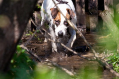 phoca_thumb_l_IMG_3022_resize
