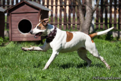 phoca_thumb_l_IMG_3027_resize