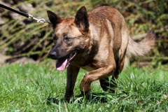 phoca_thumb_l_IMG_3047_resize