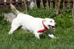 phoca_thumb_l_IMG_3080_resize