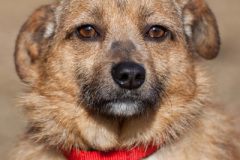 phoca_thumb_l_IMG_9810_resize