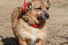 phoca_thumb_l_IMG_9826_resize