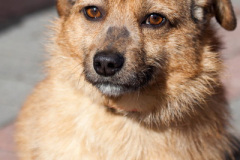 phoca_thumb_l_IMG_9831_resize
