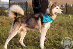 phoca_thumb_l_IMG_8175_resize