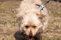 phoca_thumb_l_IMG_0116_resize