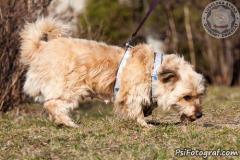 phoca_thumb_l_IMG_0120_resize