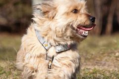 phoca_thumb_l_IMG_0121_resize