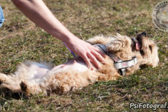 phoca_thumb_l_IMG_0133_resize