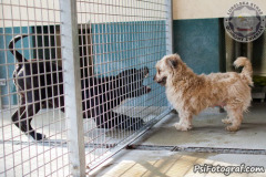 phoca_thumb_l_IMG_0209_resize