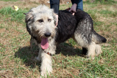 phoca_thumb_l_IMG_1269_resize