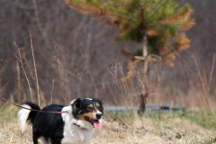 phoca_thumb_l_IMG_1357_resize