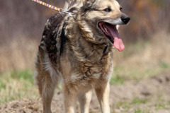 phoca_thumb_l_IMG_1374_resize