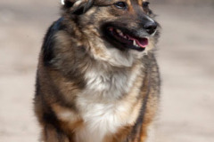 phoca_thumb_l_IMG_1416_resize