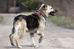 phoca_thumb_l_IMG_1505_resize
