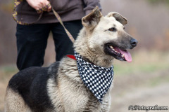 phoca_thumb_l_IMG_1514_resize