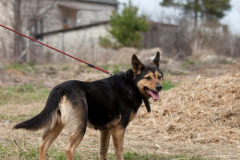 phoca_thumb_l_IMG_1975_resize