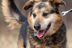 phoca_thumb_l_IMG_2064_resize