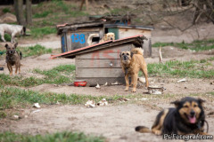 phoca_thumb_l_IMG_2085_resize